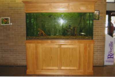 Custom Fish Tanks